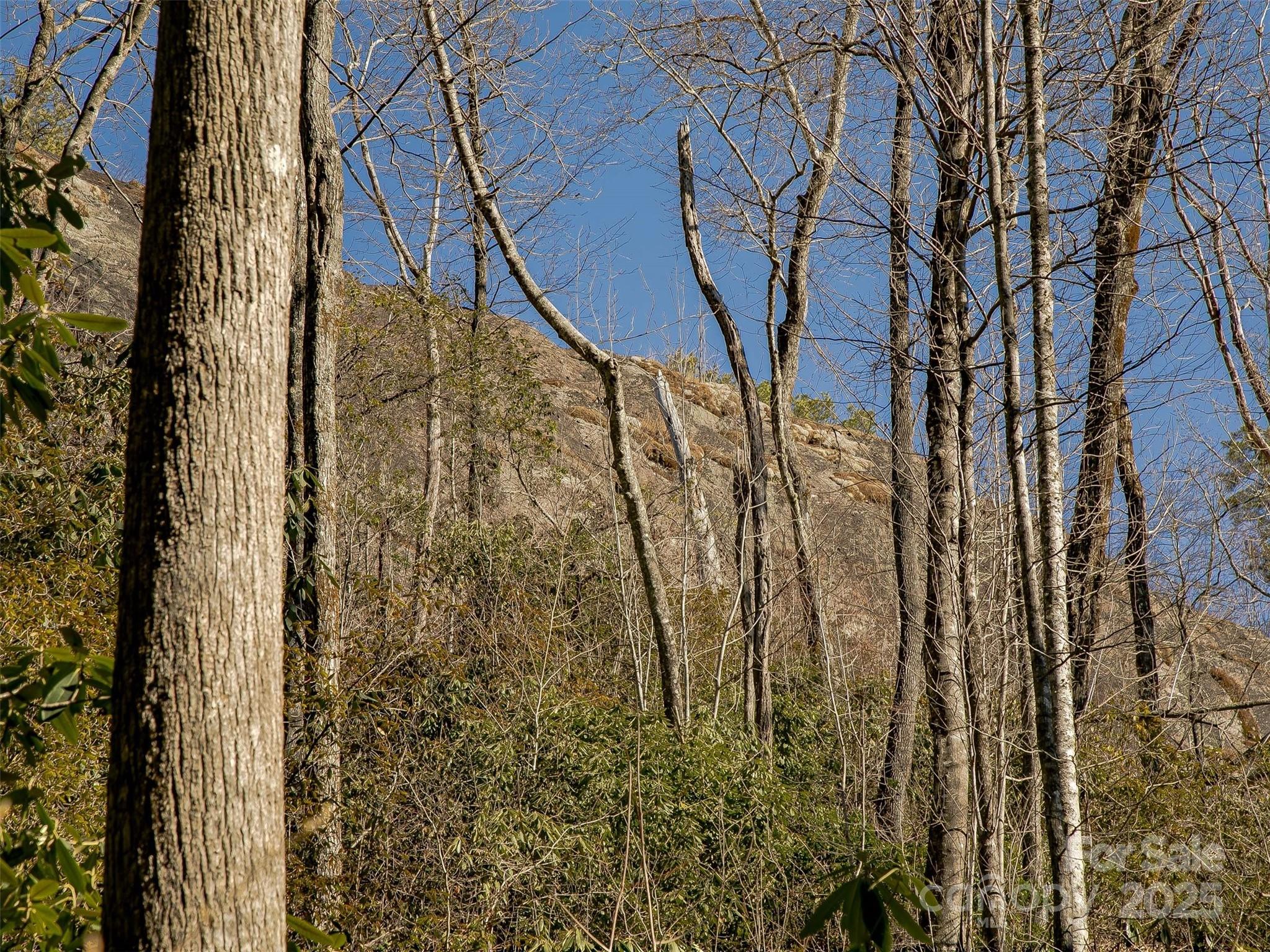 Lake Toxaway Estates - Land