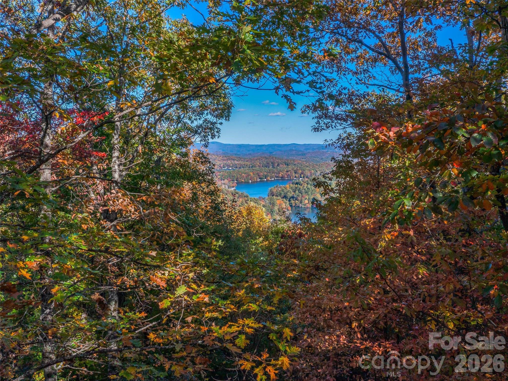 Lake Toxaway Estates - Land