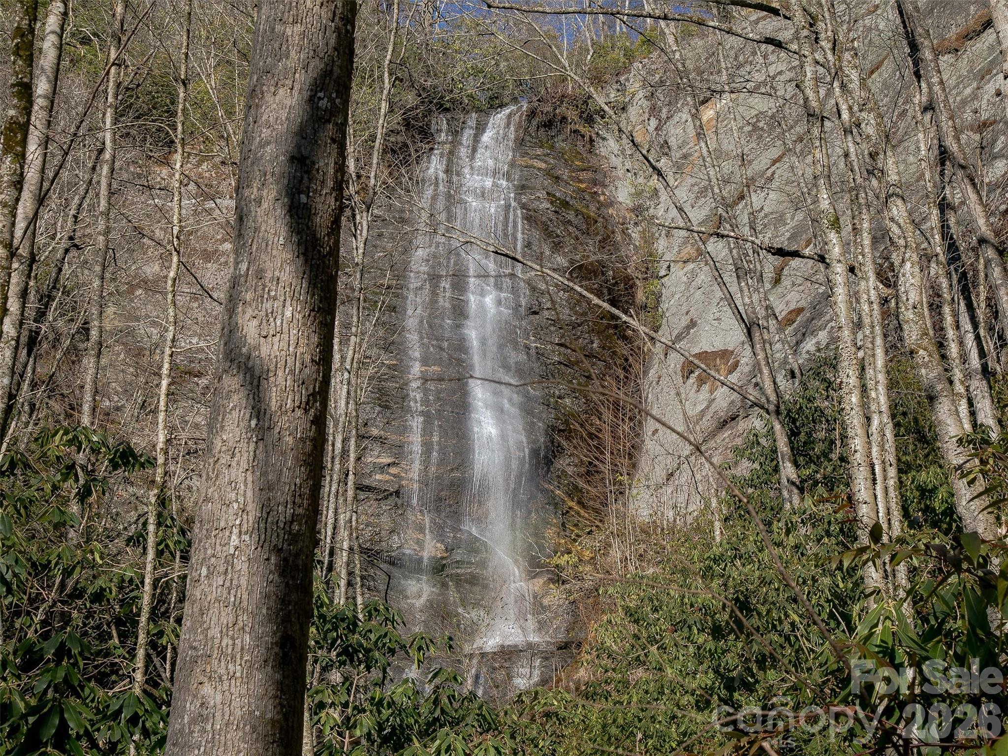 Lake Toxaway Estates - Land