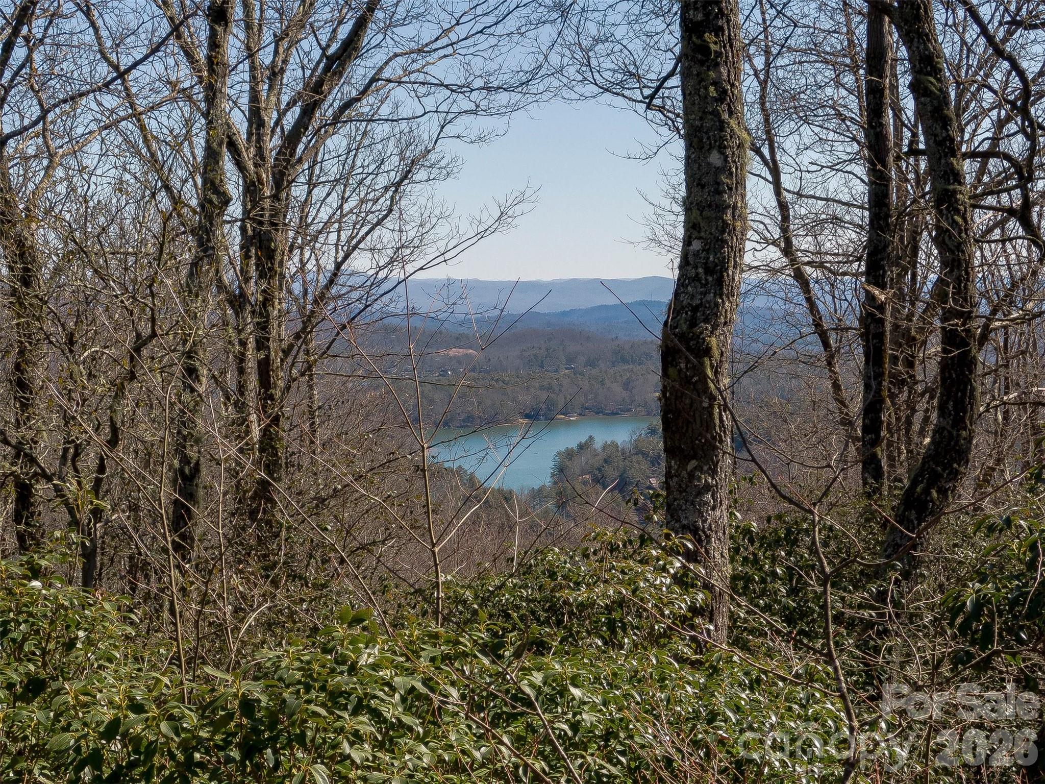 Lake Toxaway Estates - Land
