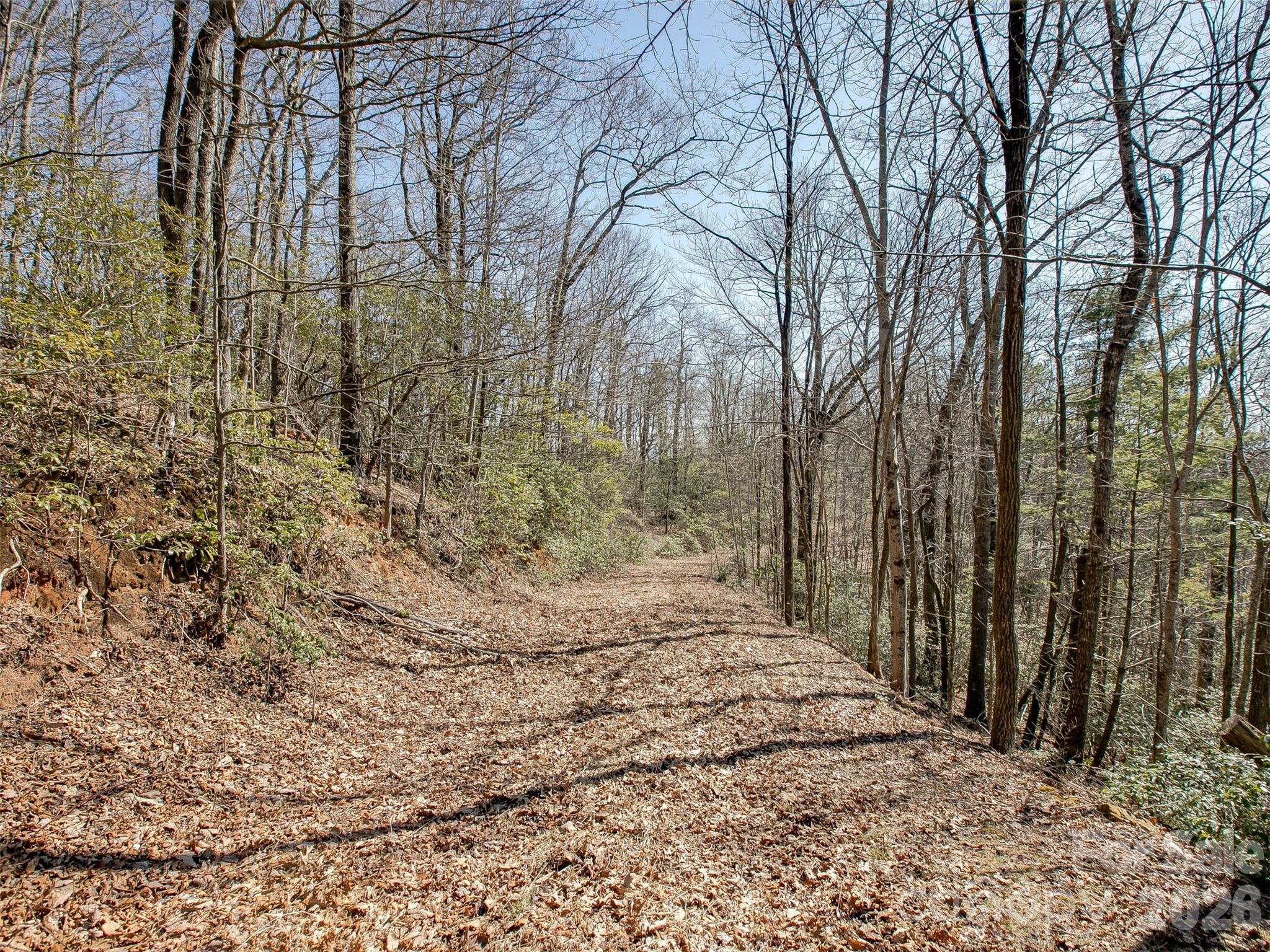 Lake Toxaway Estates - Land