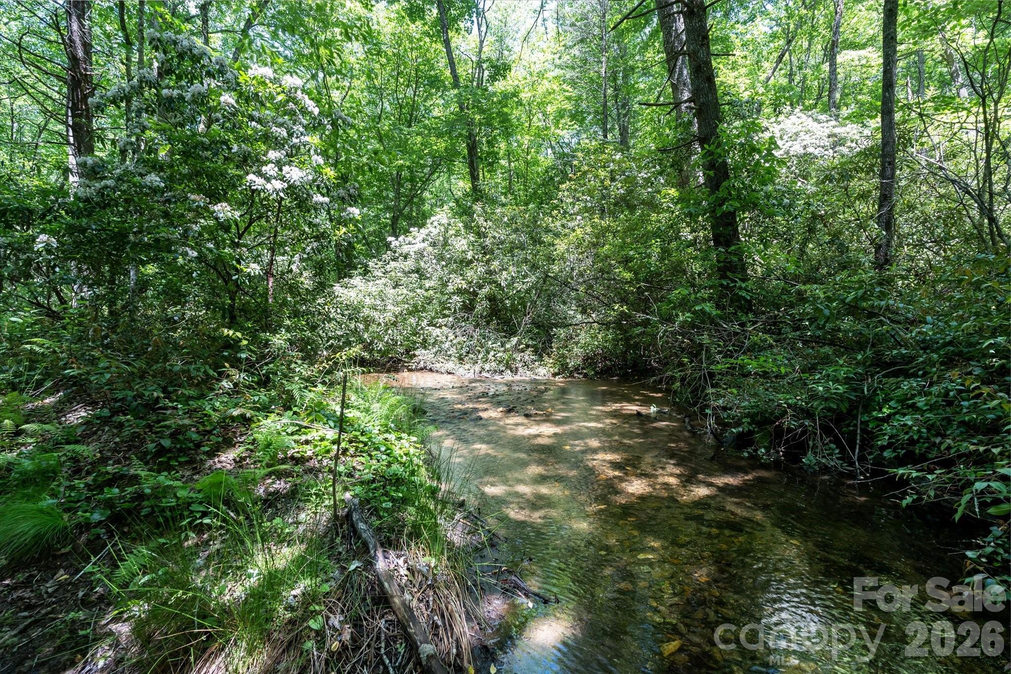 Lake Toxaway Estates - Land