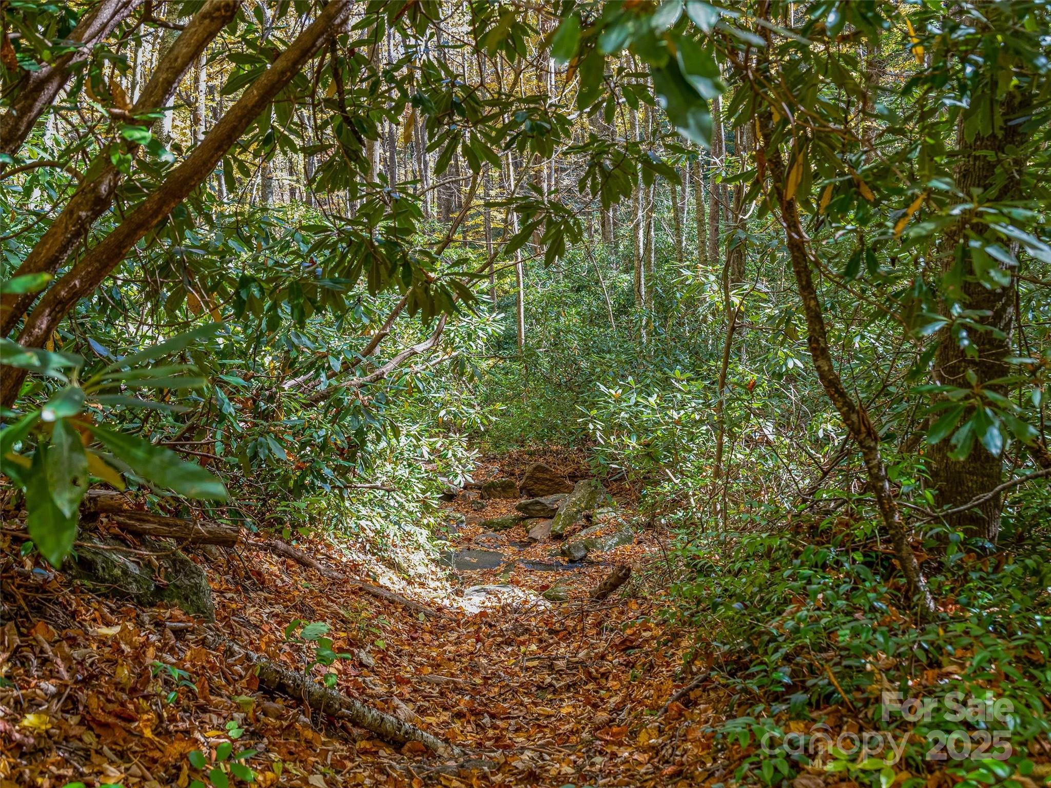 Lake Toxaway Estates - Land