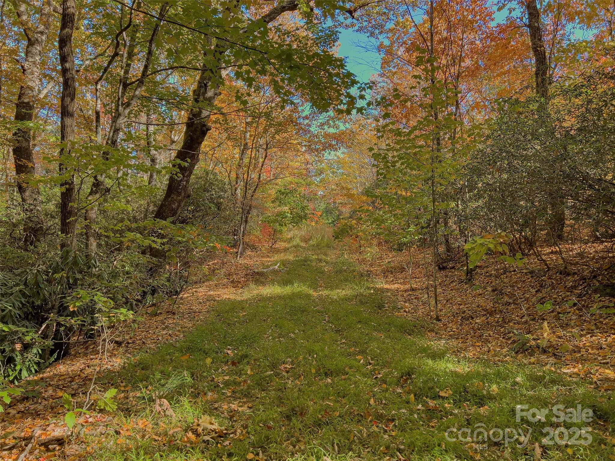 Lake Toxaway Estates - Land