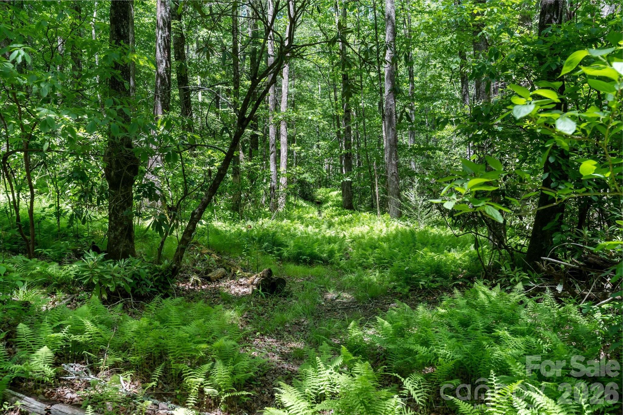 Lake Toxaway Estates - Land