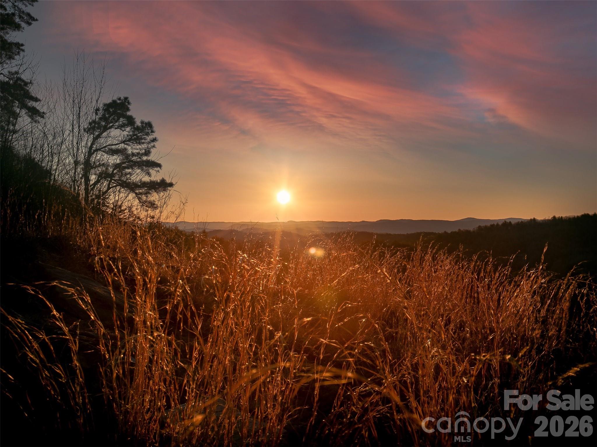 Lake Toxaway Estates - Land