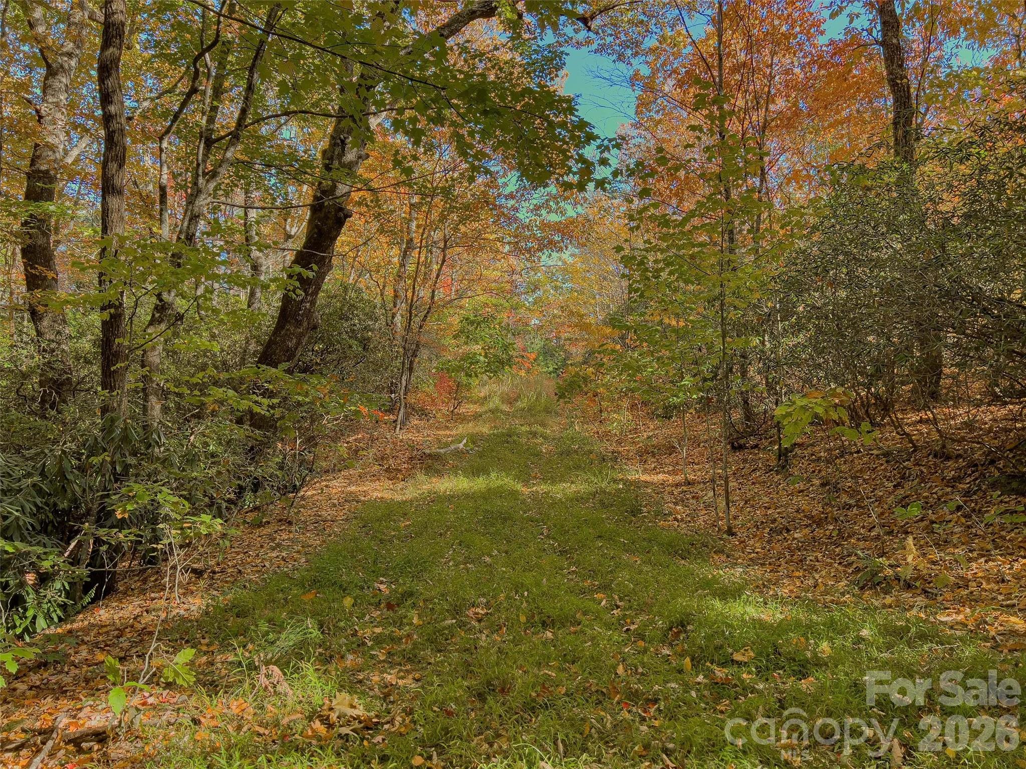 Lake Toxaway Estates - Land