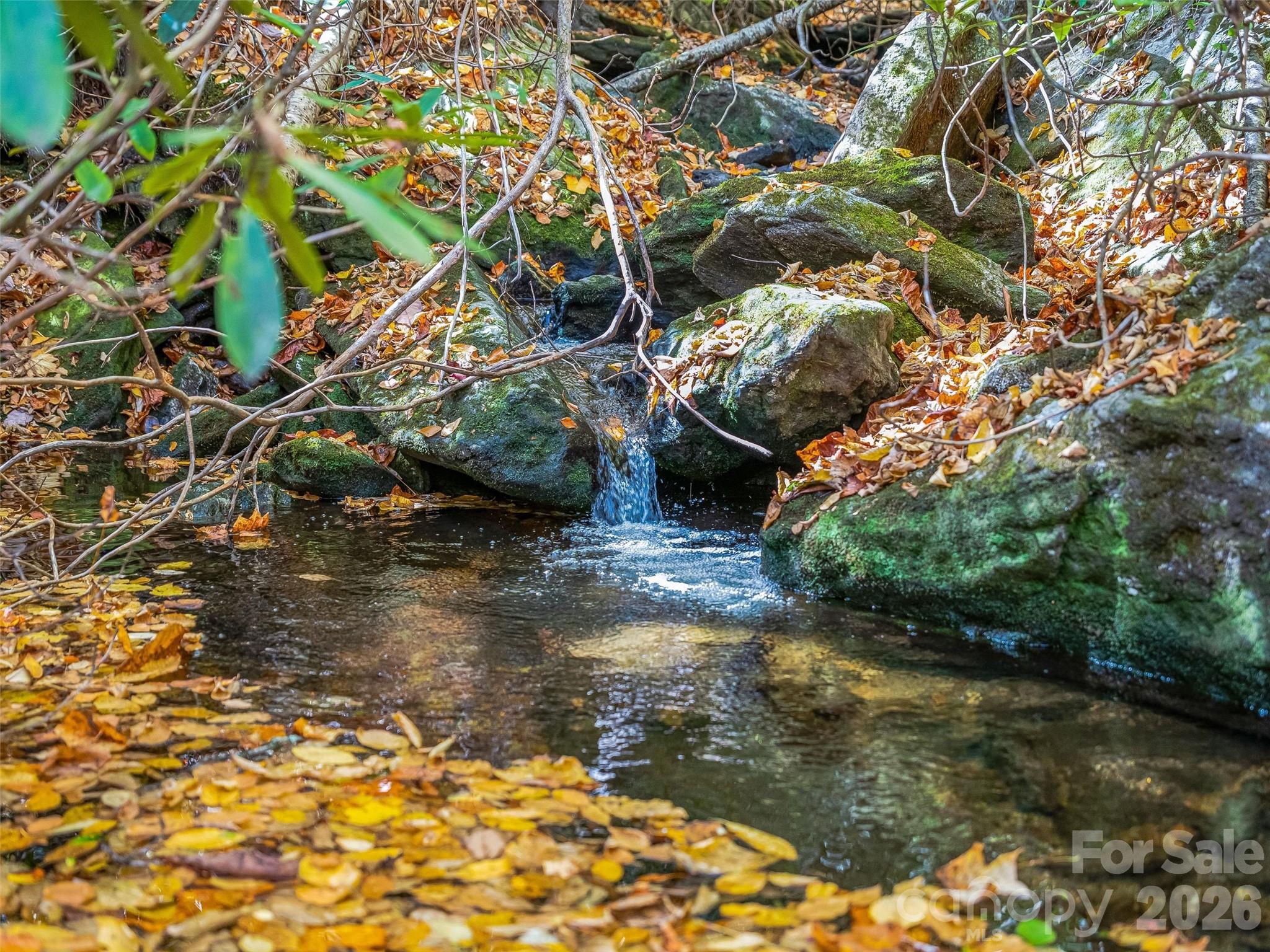 Lake Toxaway Estates - Land