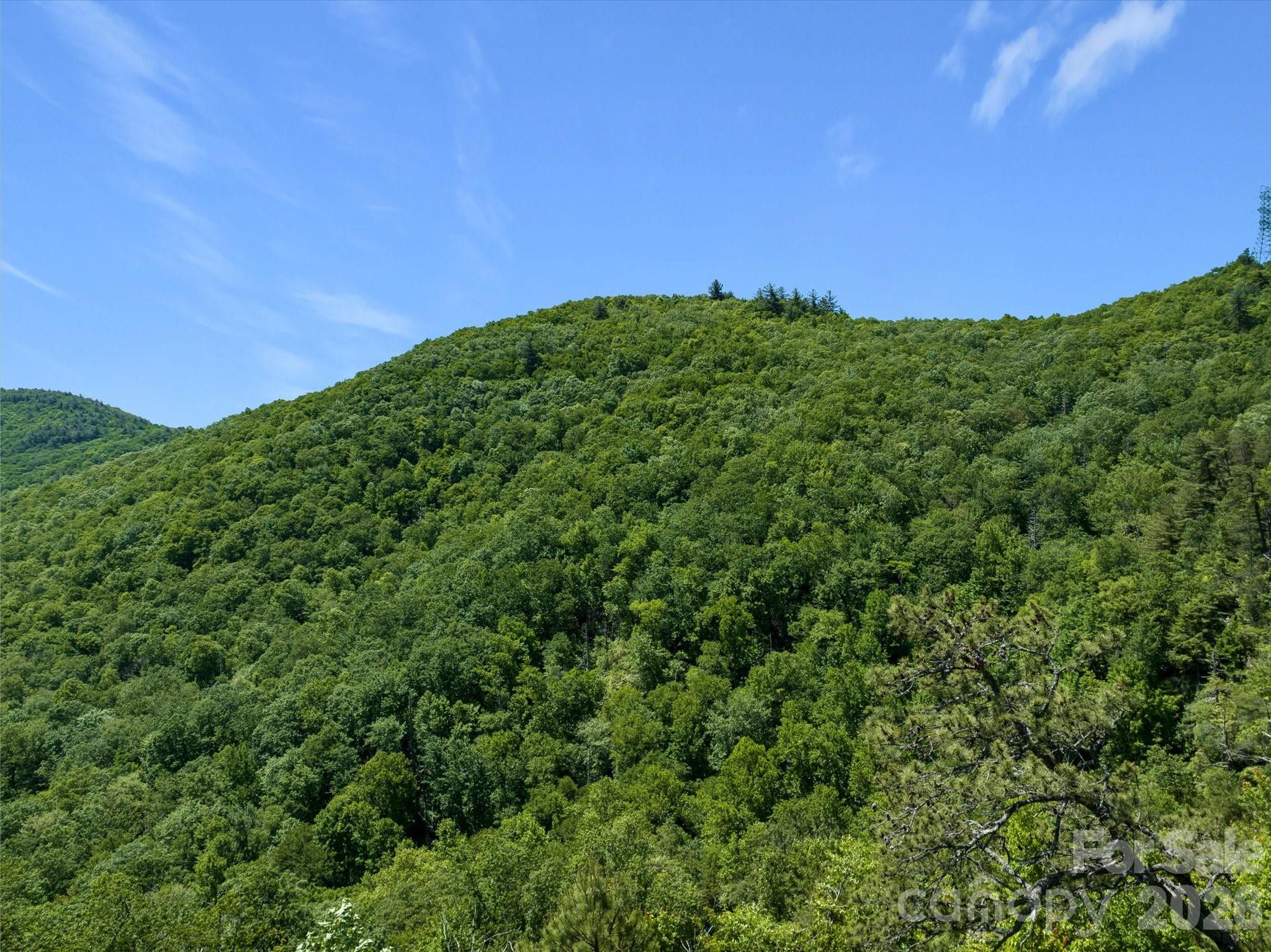 Lake Toxaway Estates - Land