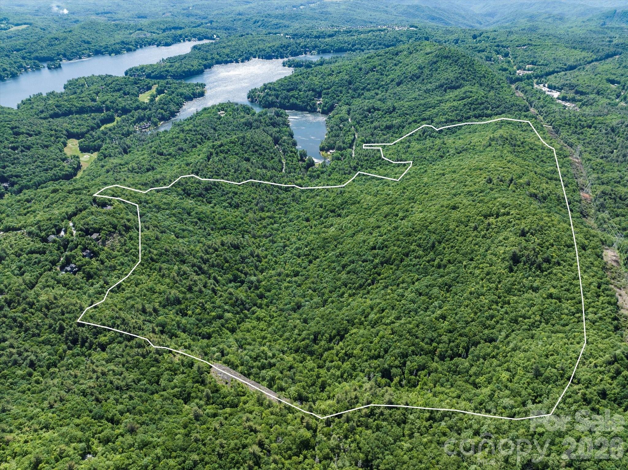 Lake Toxaway Estates - Land