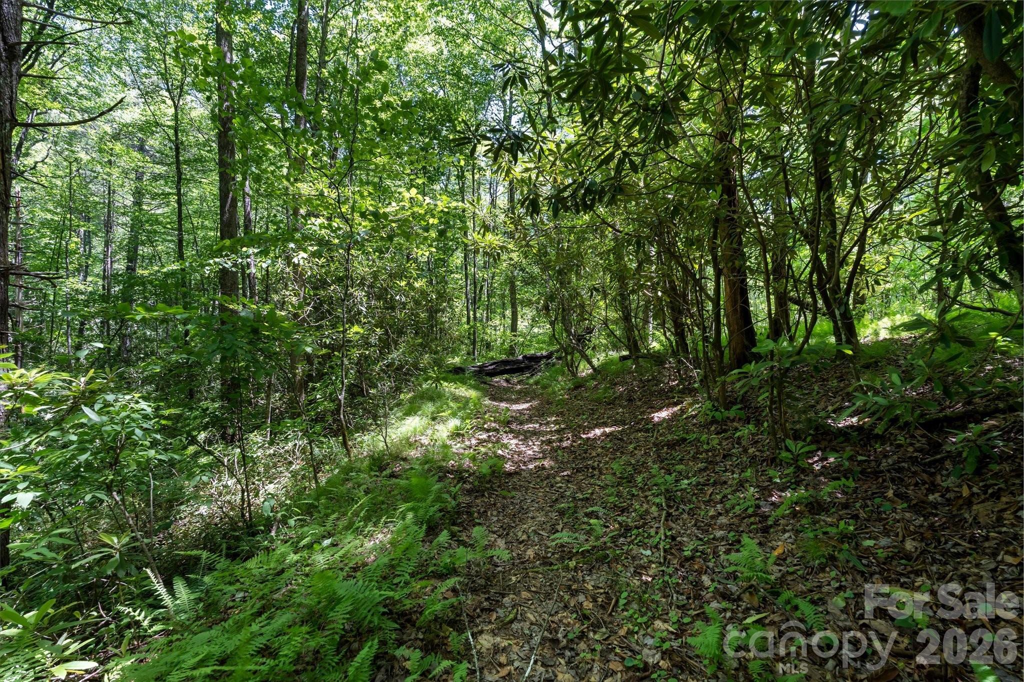 Lake Toxaway Estates - Land