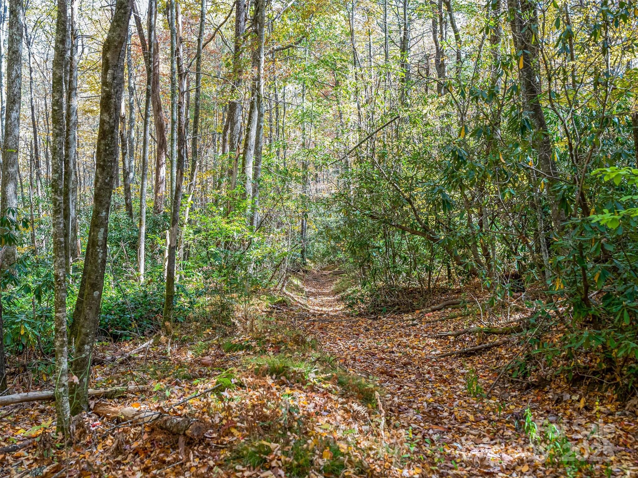 Lake Toxaway Estates - Land