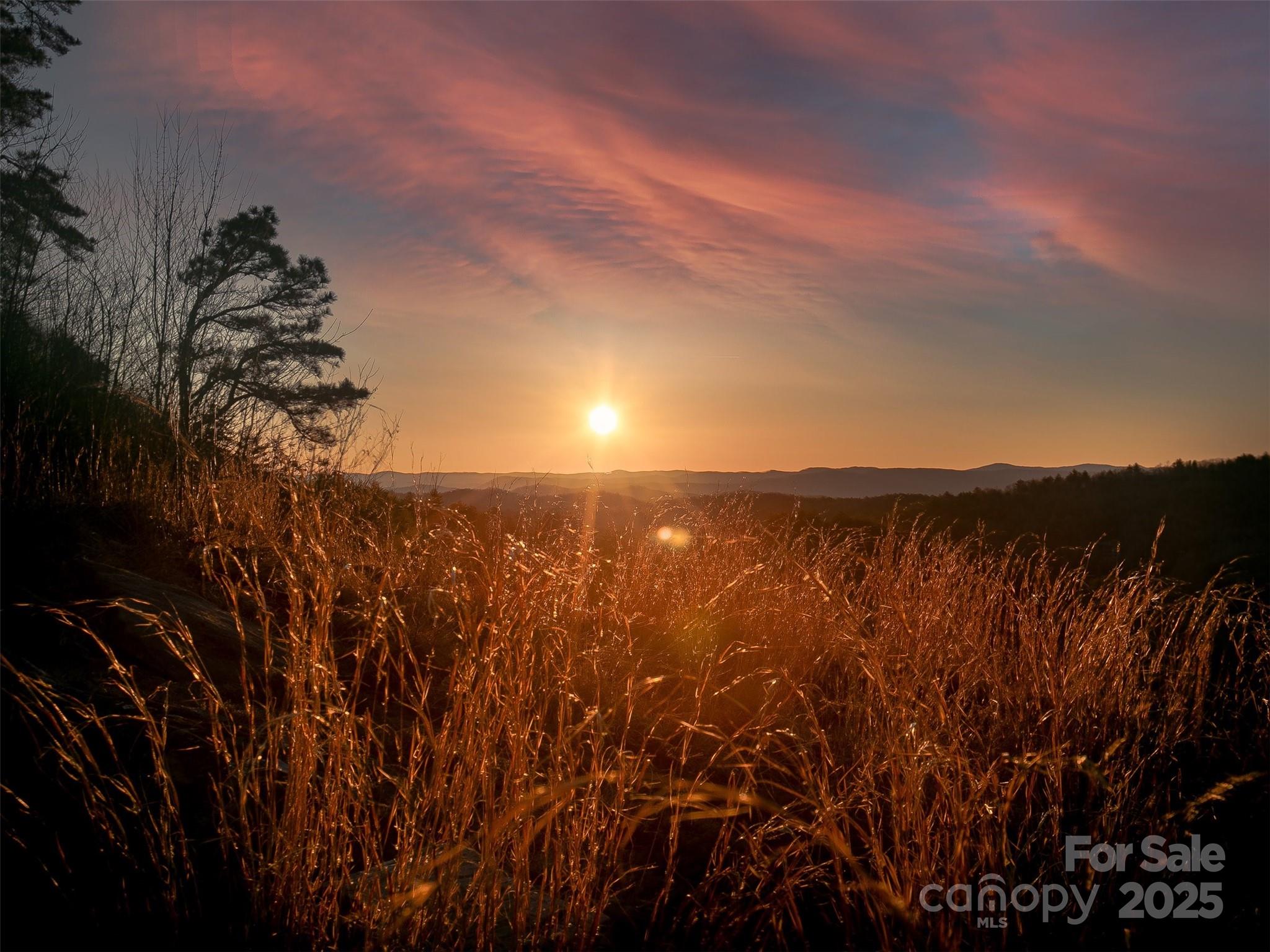 Lake Toxaway Estates - Land