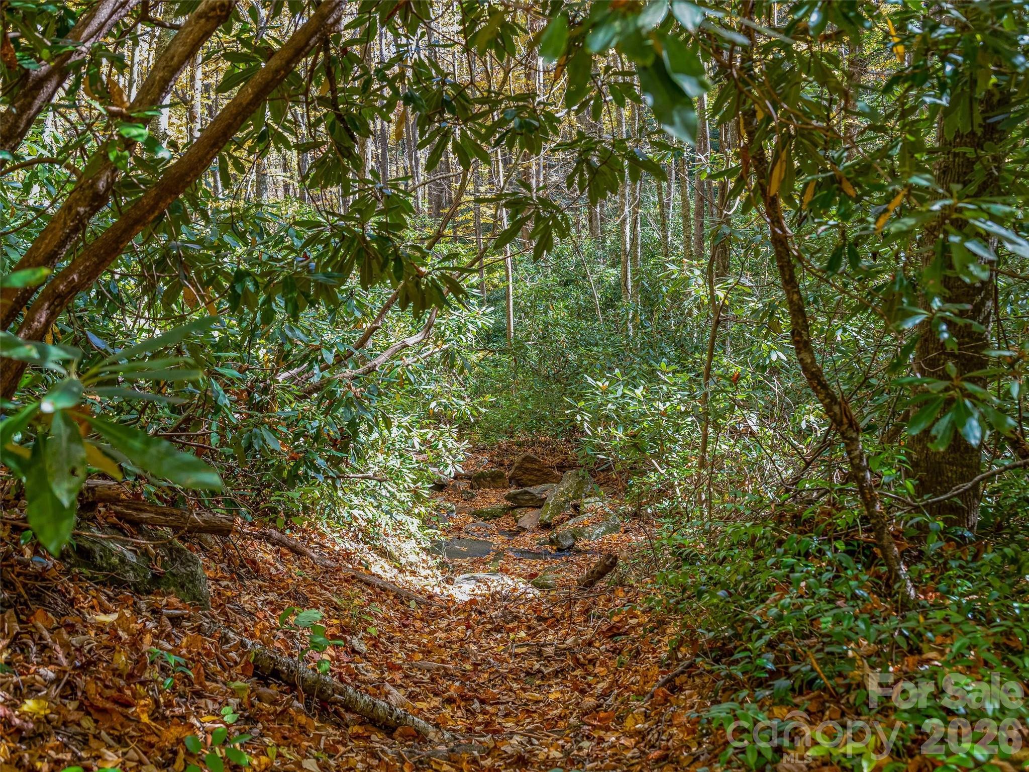 Lake Toxaway Estates - Land