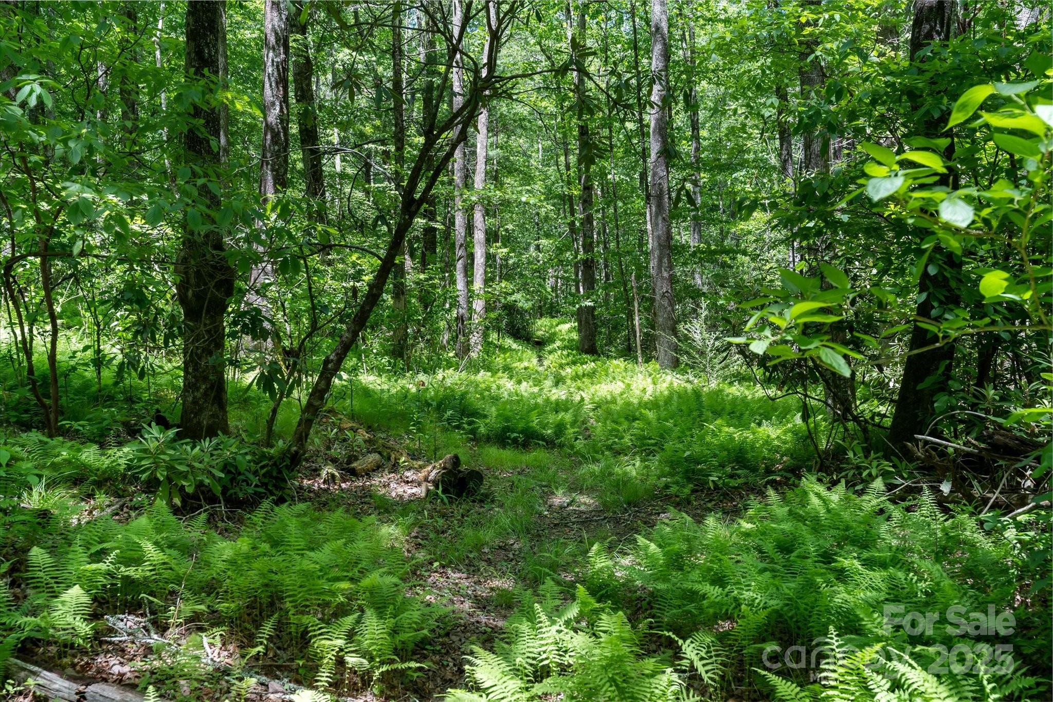 Lake Toxaway Estates - Land