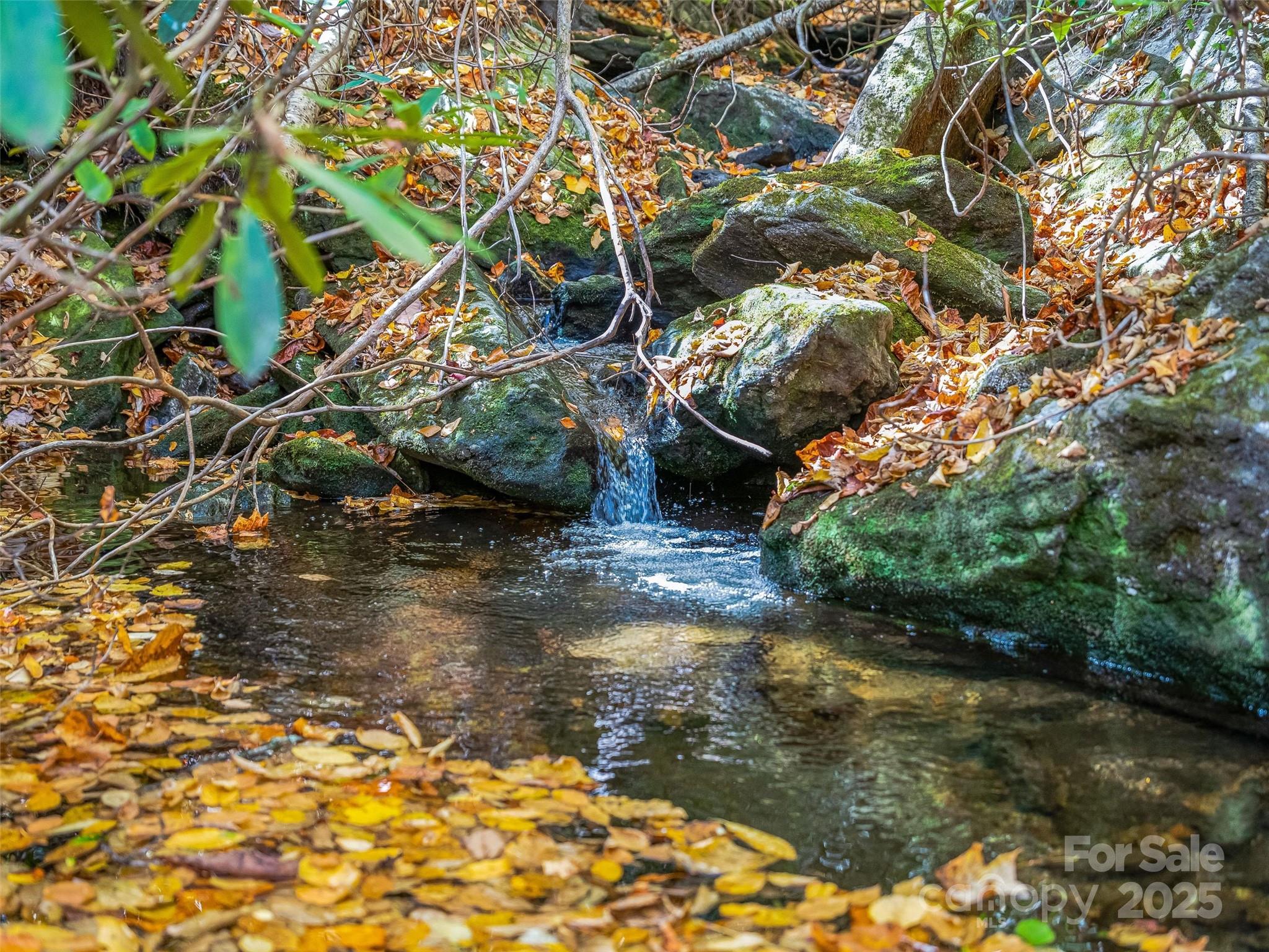 Lake Toxaway Estates - Land
