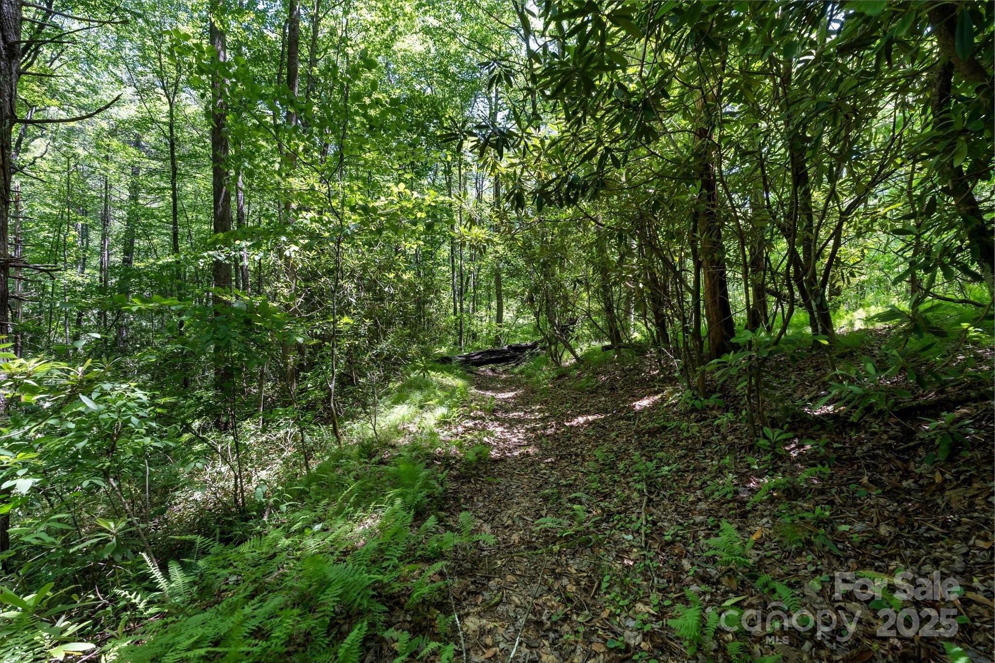 Lake Toxaway Estates - Land