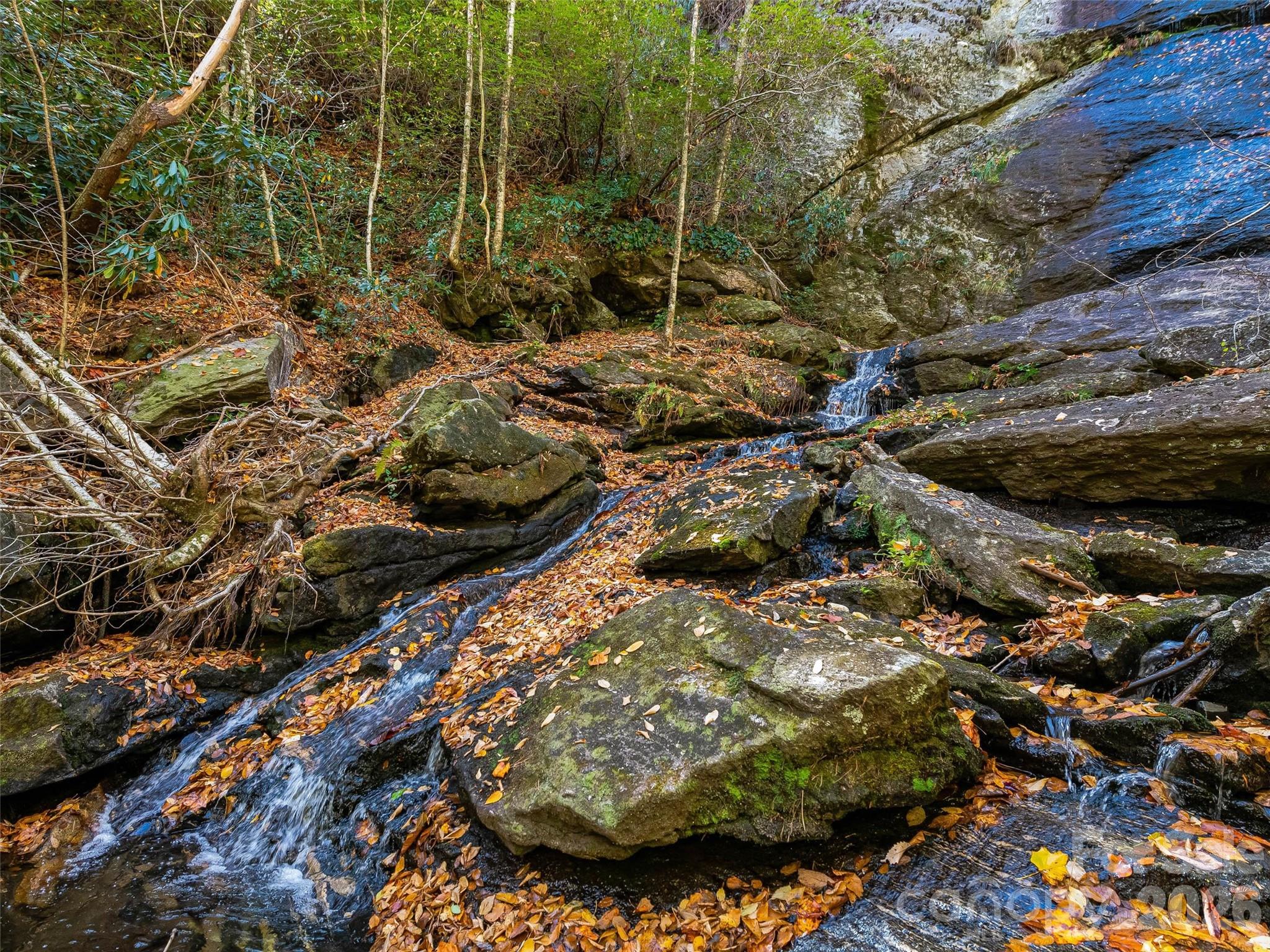 Lake Toxaway Estates - Land