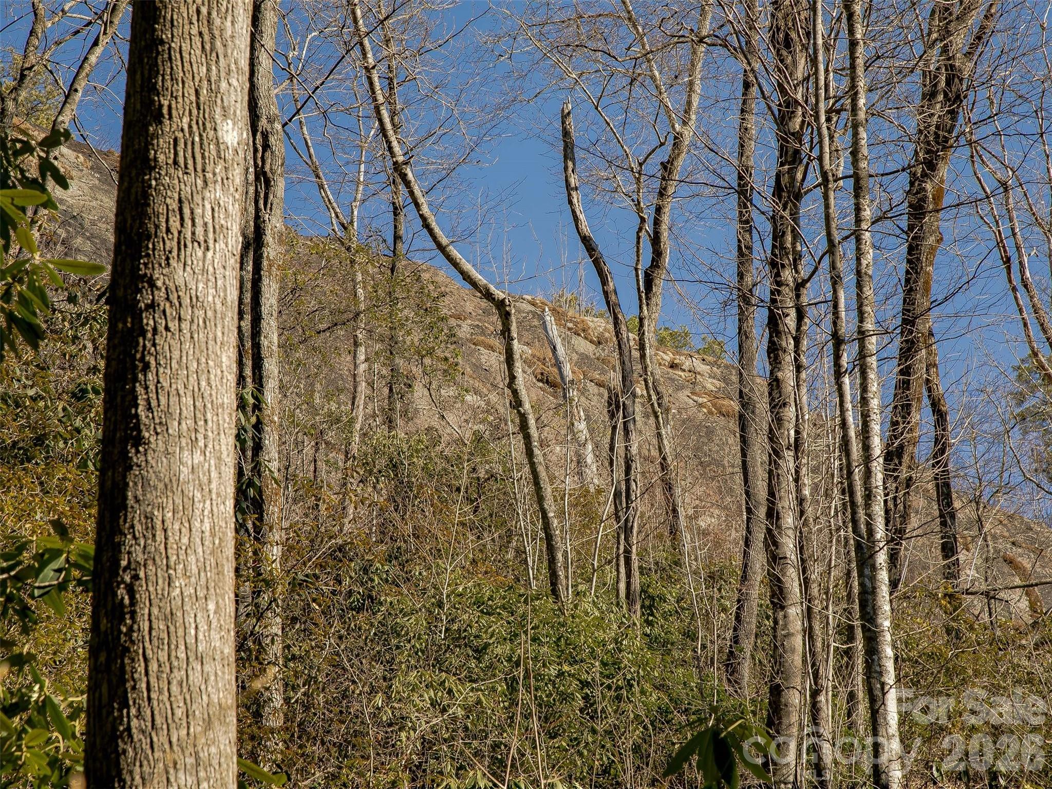 Lake Toxaway Estates - Land
