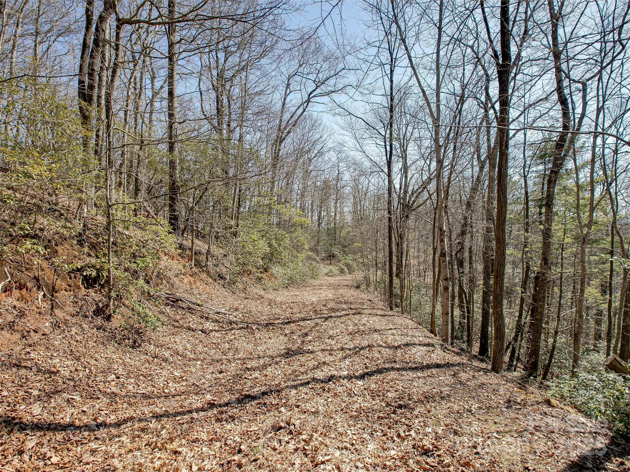 Lake Toxaway Estates - Land