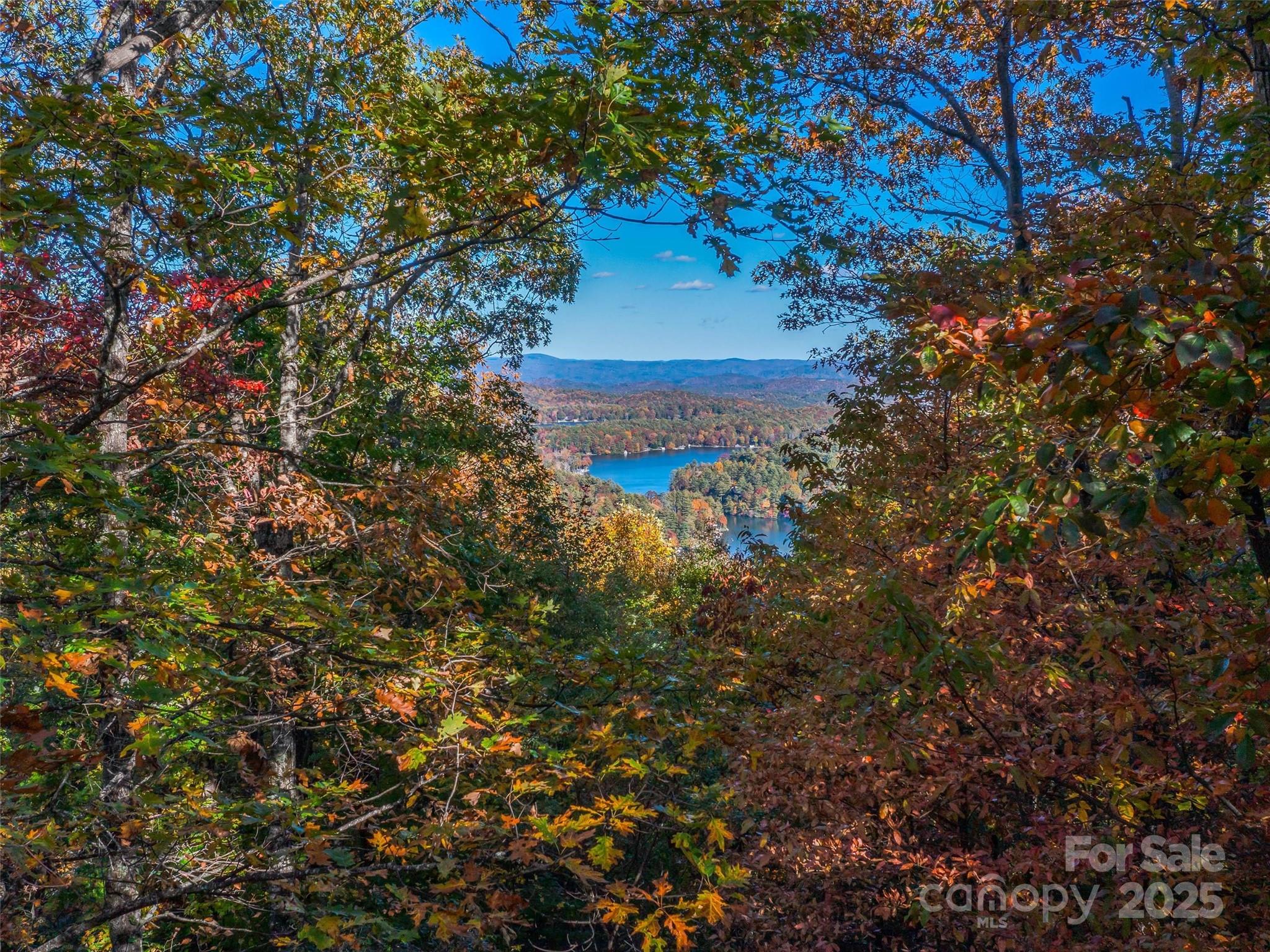 Lake Toxaway Estates - Land