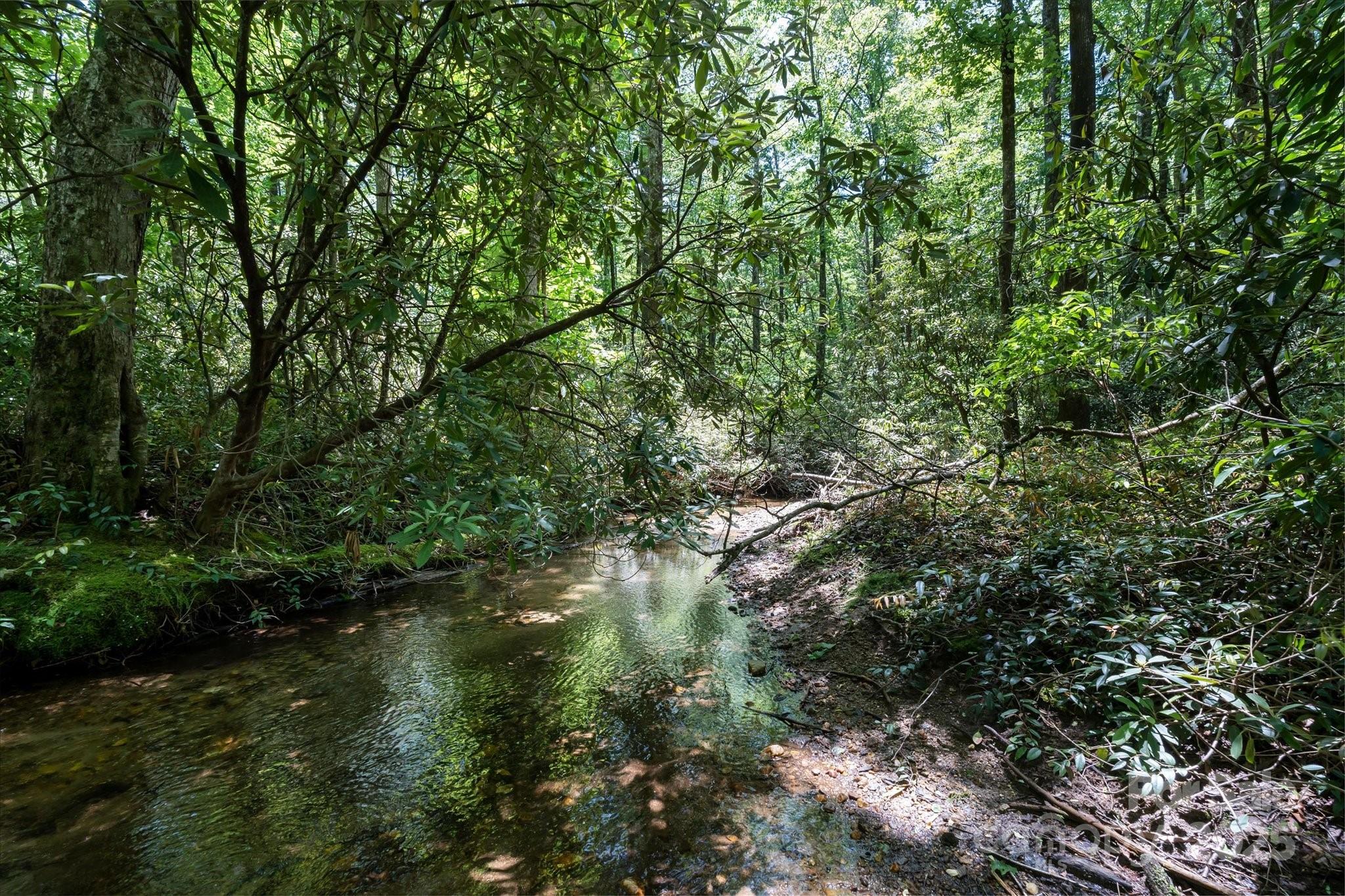 Lake Toxaway Estates - Land
