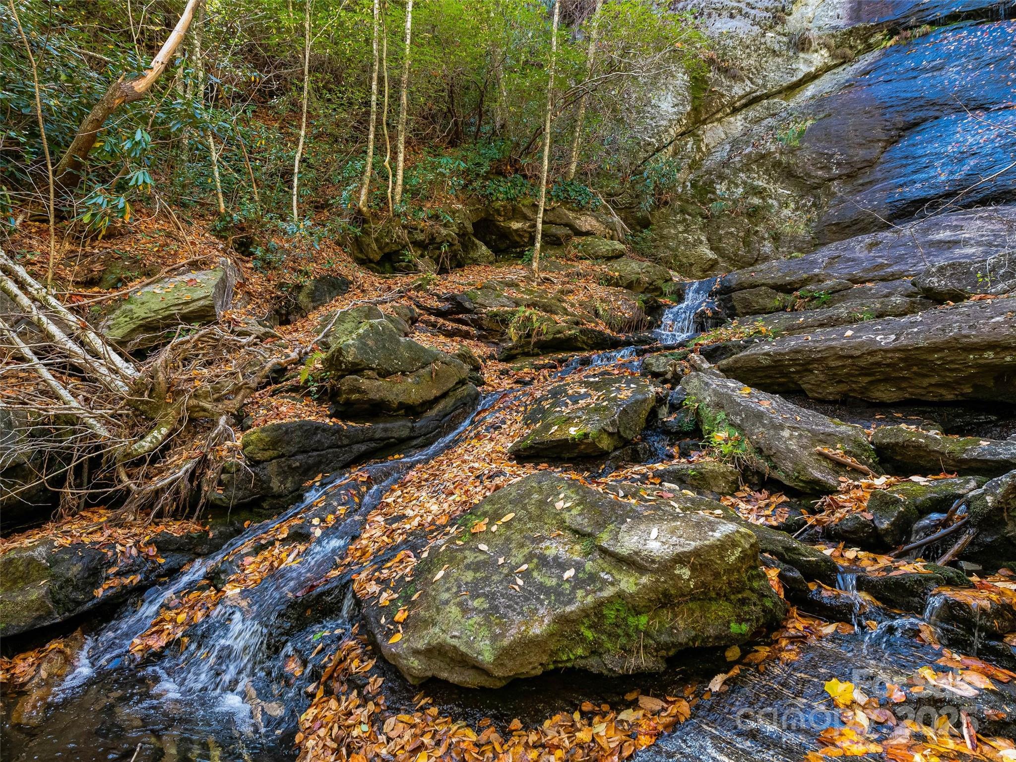 Lake Toxaway Estates - Land
