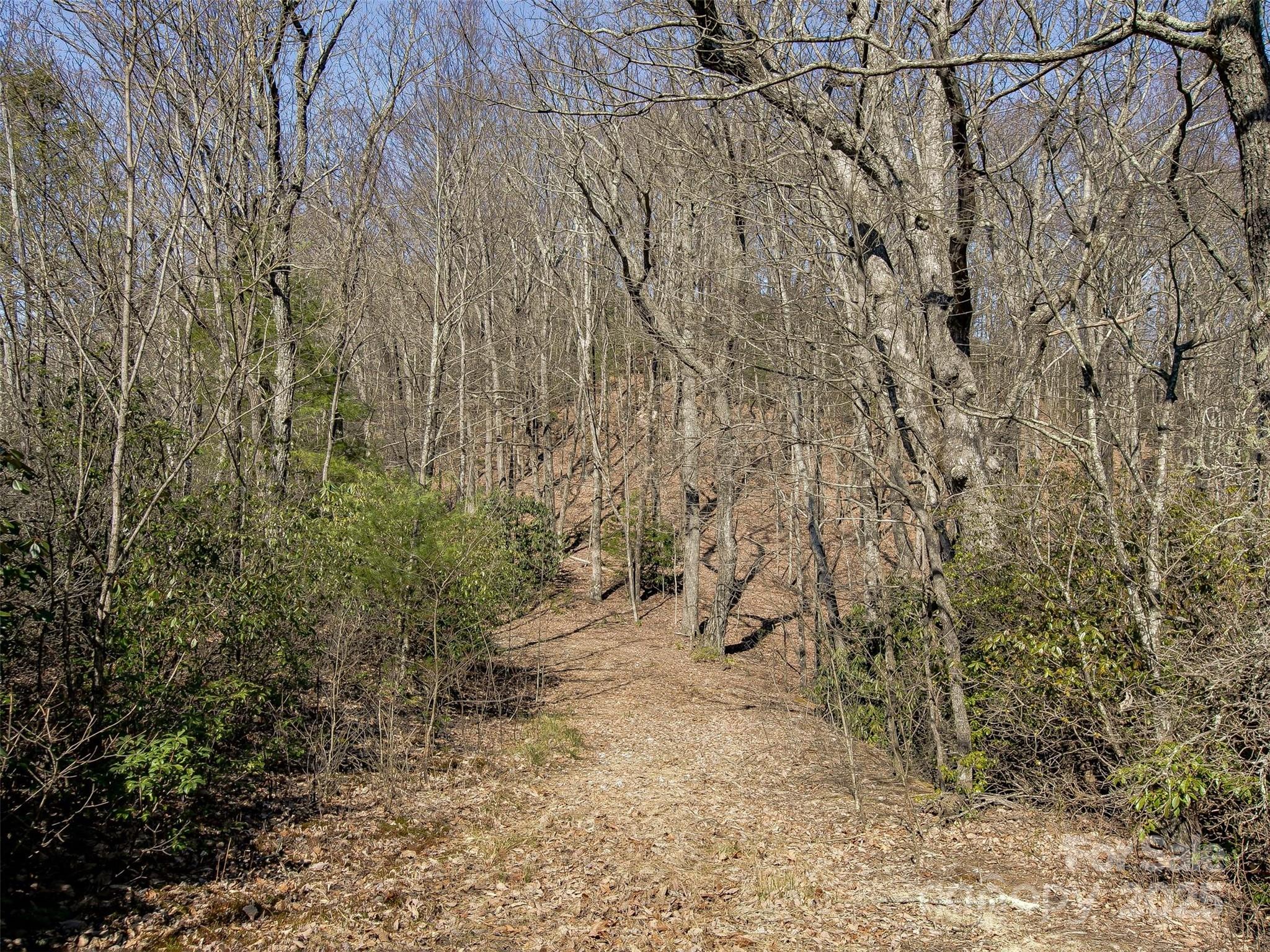 Lake Toxaway Estates - Land