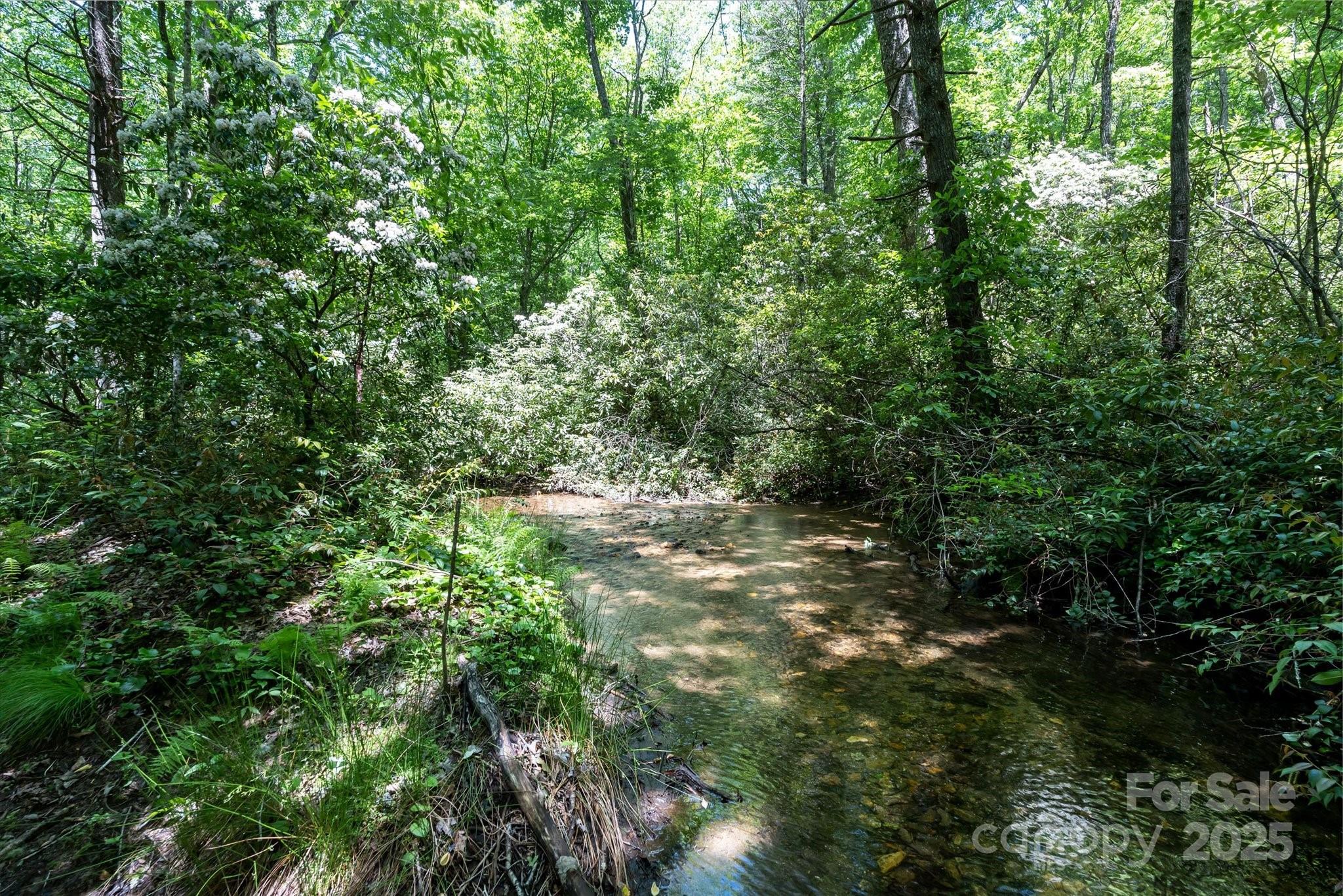 Lake Toxaway Estates - Land