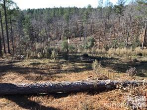 2072 Snowmass Drive Unit 36, Connelly Springs, NC, 28612
