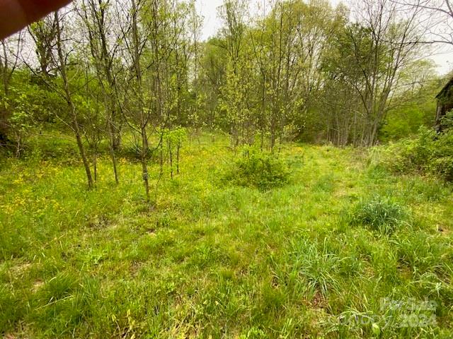 547 Long Branch Road Tract 2