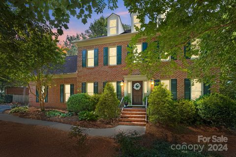 Single Family Residence in Charlotte NC 7501 Celtic Court 46.jpg