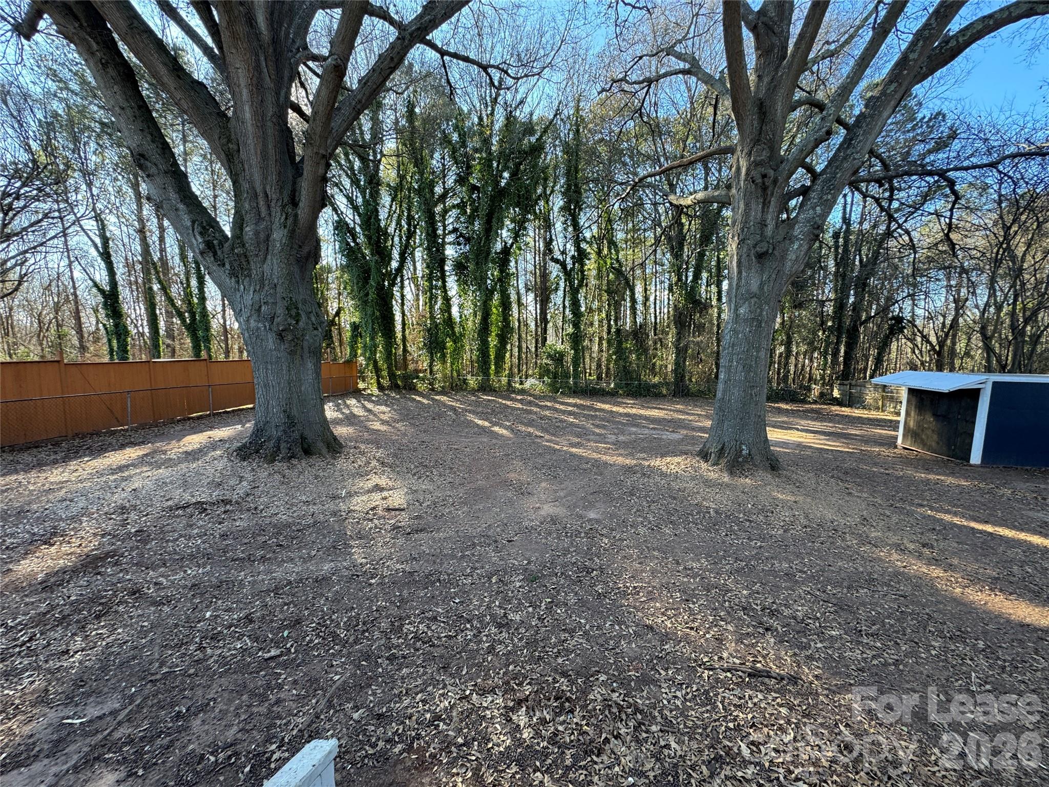 None - Residential Lease