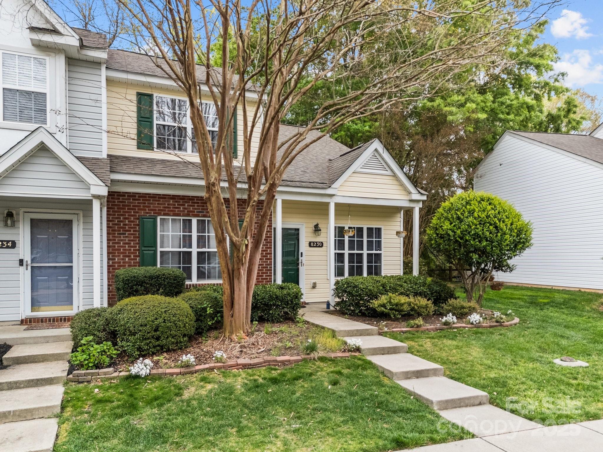 8230 Rudolph Road