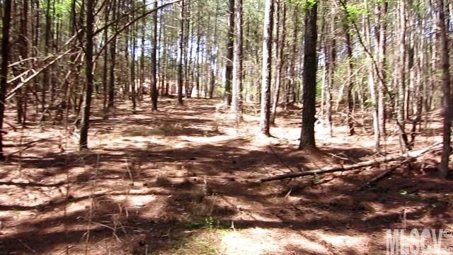 Paradise Harbor - Land