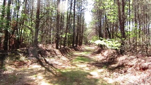 Paradise Harbor - Land