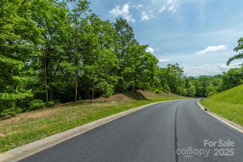 99999 May Fly Lane 115 Horse Shoe NC 28742