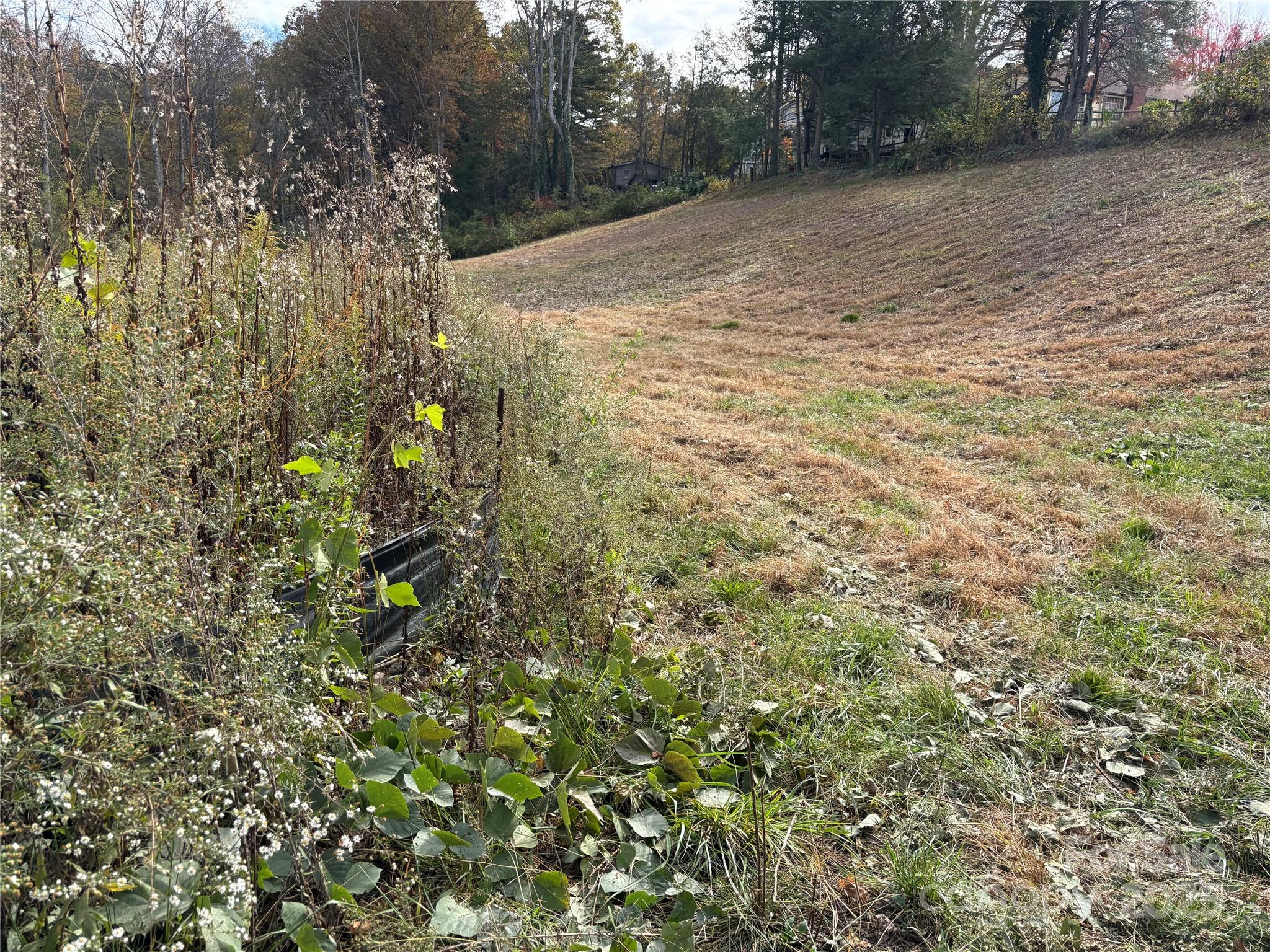 119, 123, 127 Randolph Avenue