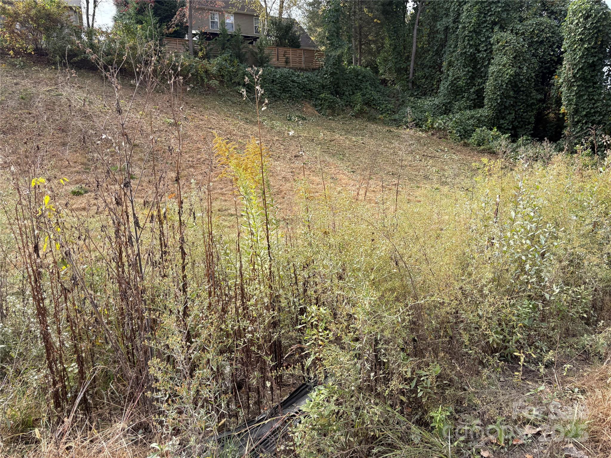 119, 123, 127 Randolph Avenue