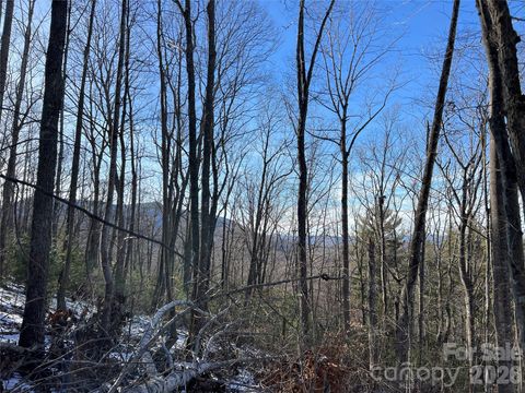 TBD (Lot 8) Woodland Ridge Lansing NC 28643