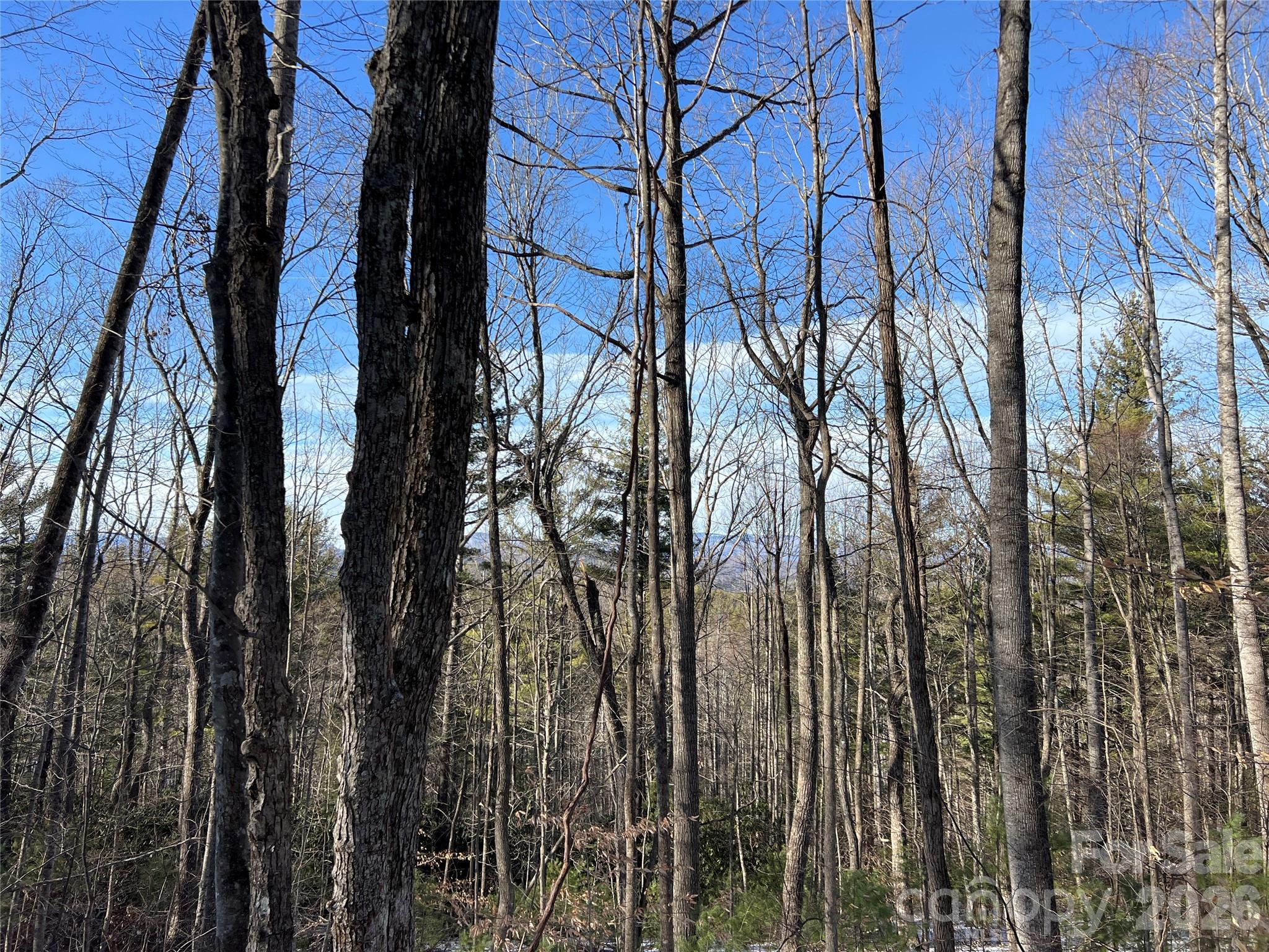 TBD (Lot 8) Woodland Ridge