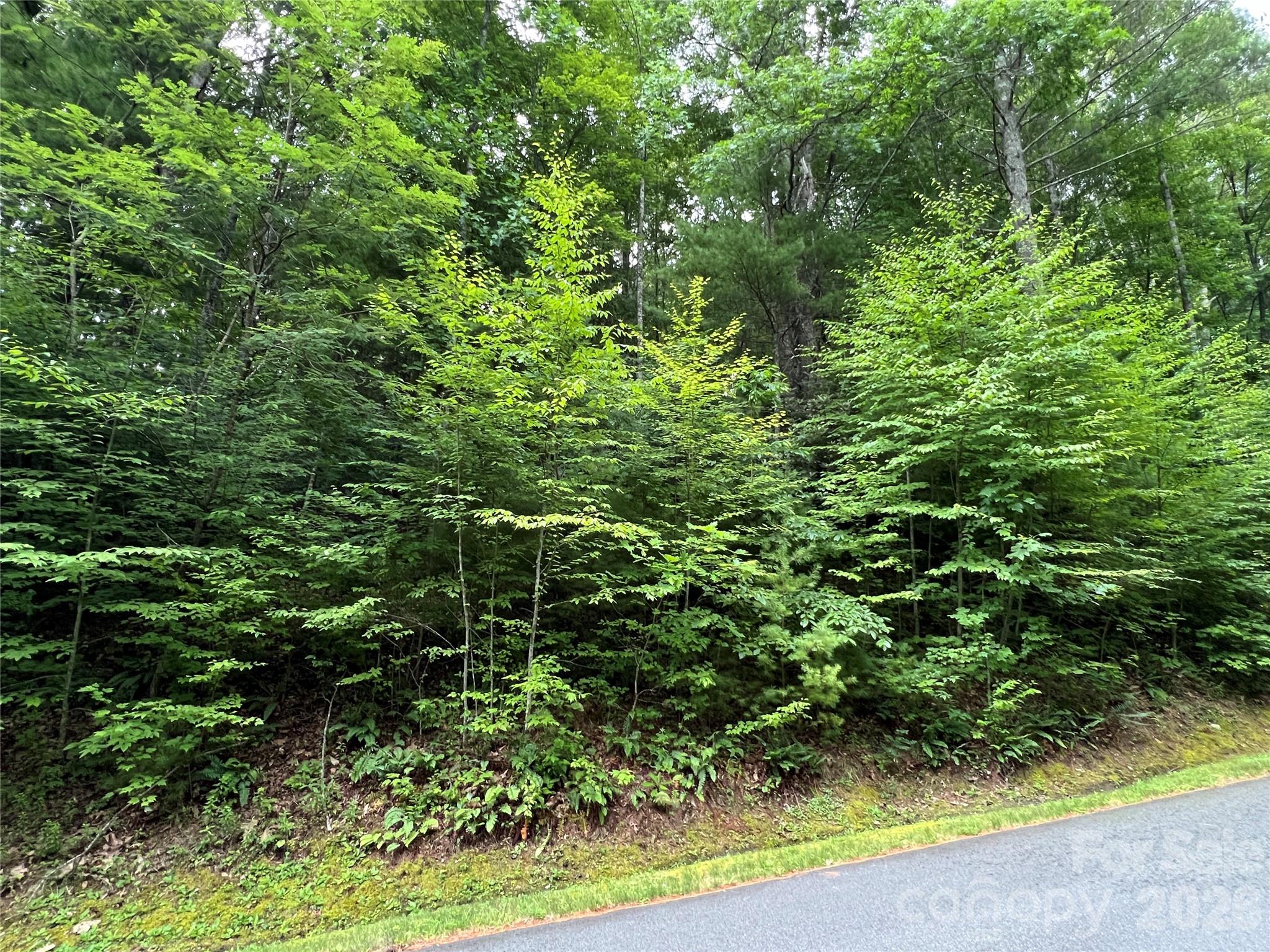 TBD (Lot 8) Woodland Ridge