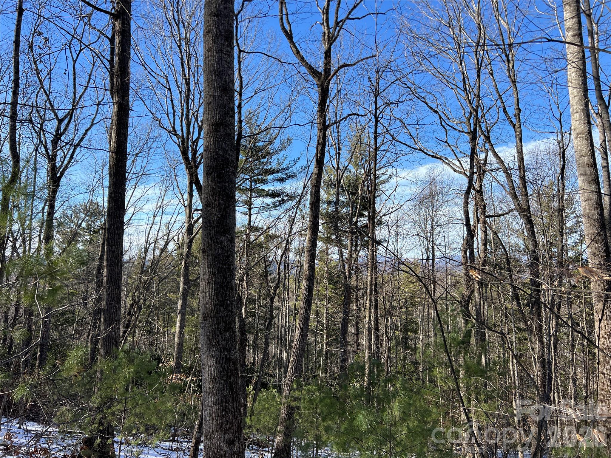 TBD (Lot 8) Woodland Ridge