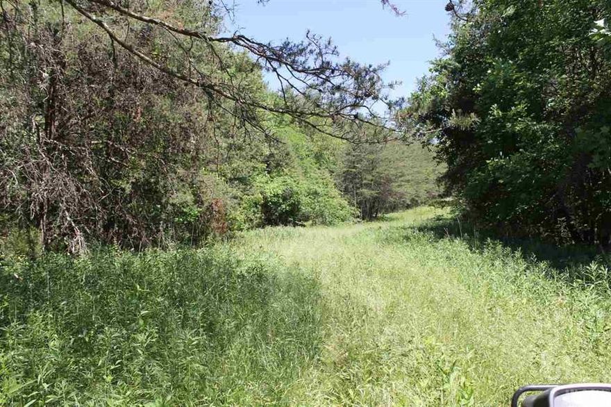 117 ac on Wilkes/Iredell County Line in Union Grove! PRICED TO SELL! Relatively flat , some cleared (past hayfields) remainder in woods with old homesite and tobacco barn on property. Parts of the tract have been cut over in the past, new growth has emerged. Land needs some attention to trees, fields, etc. CREEK borders East property line.