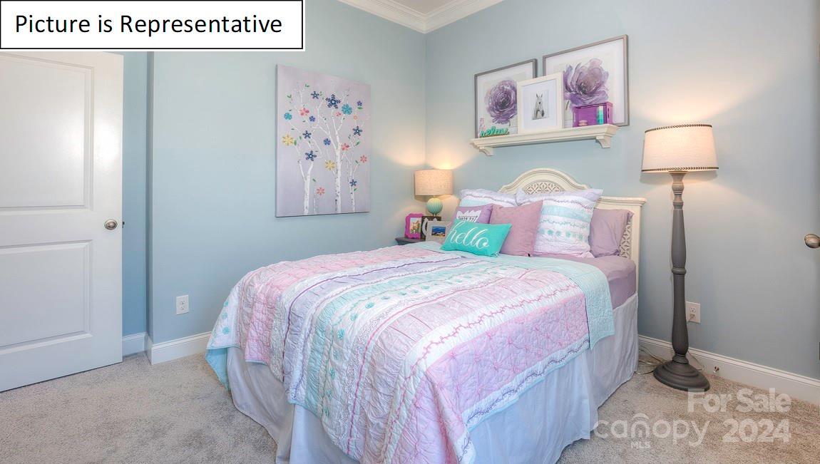 The Vineyards on Lake Wylie - Residential