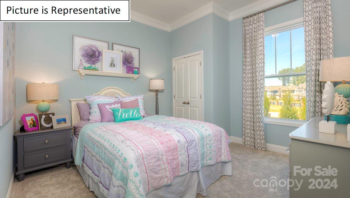 The Vineyards on Lake Wylie - Residential