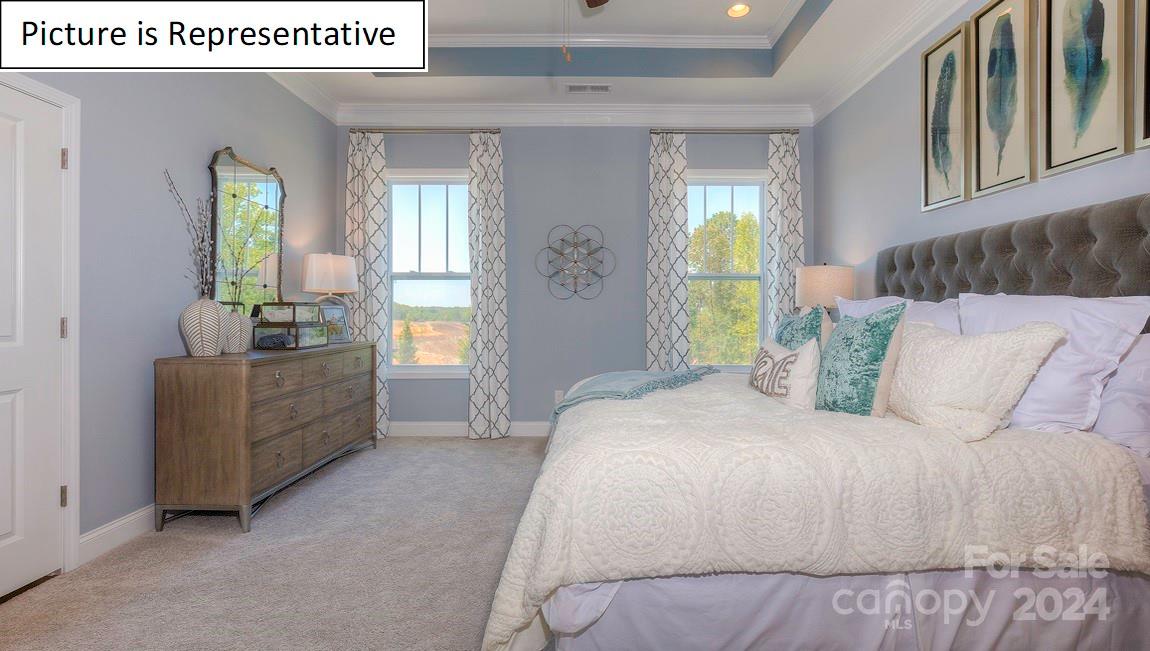 The Vineyards on Lake Wylie - Residential