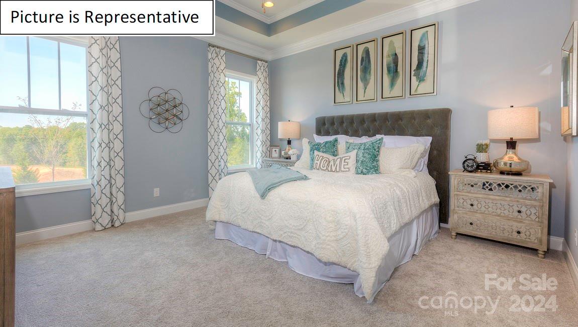 The Vineyards on Lake Wylie - Residential