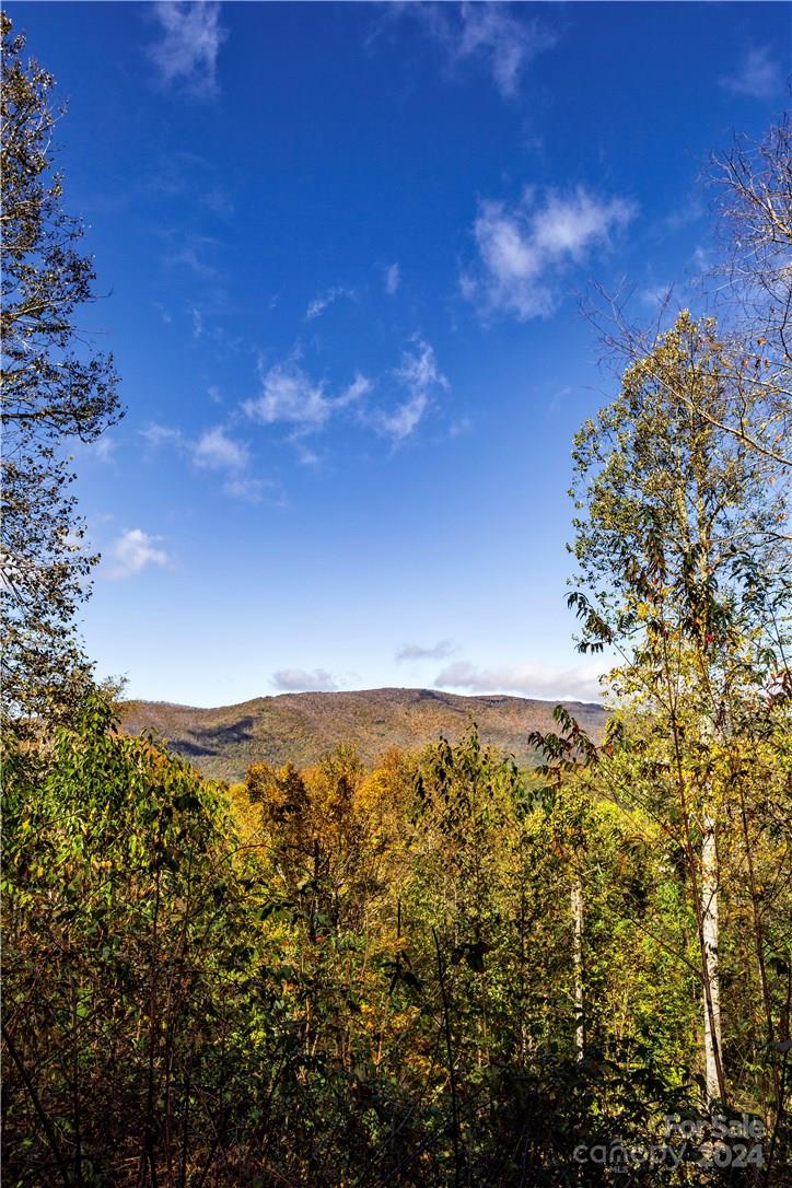 Black Rock Creek - Land