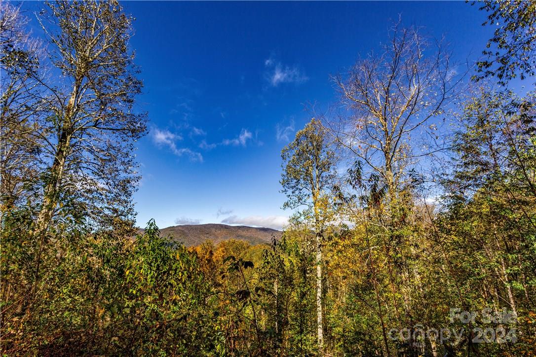 Black Rock Creek - Land